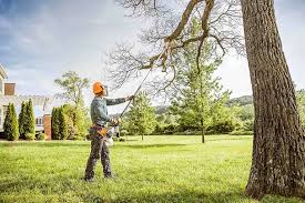 Trusted Belpre, OH Tree Removal and Landscaping Services Experts